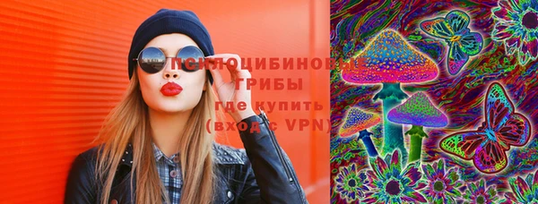 apvp Белокуриха