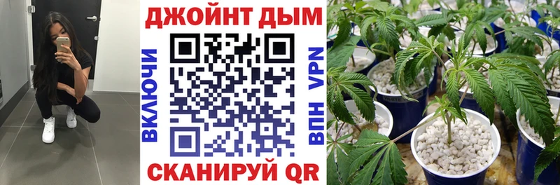 Шишки марихуана ГИДРОПОН  блэк спрут сайт  Павловская  где продают наркотики 
